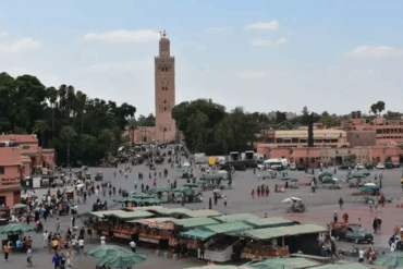 activité marrakech – panorama ville rouge